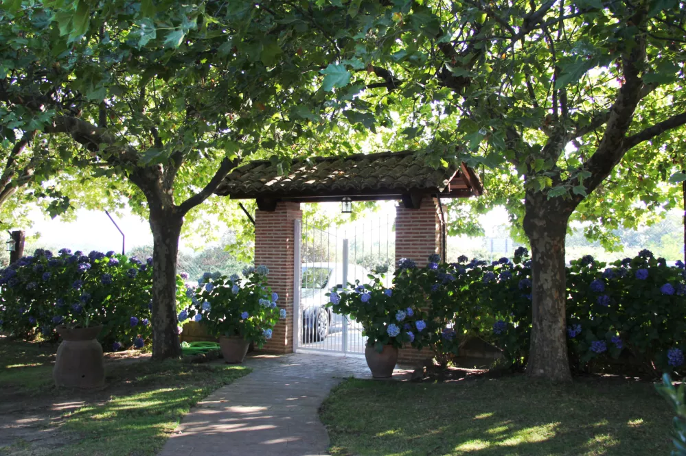 Restaurante Los Carretero, terraza, zona ajardinada y parque infantil en Candeleda Gredos