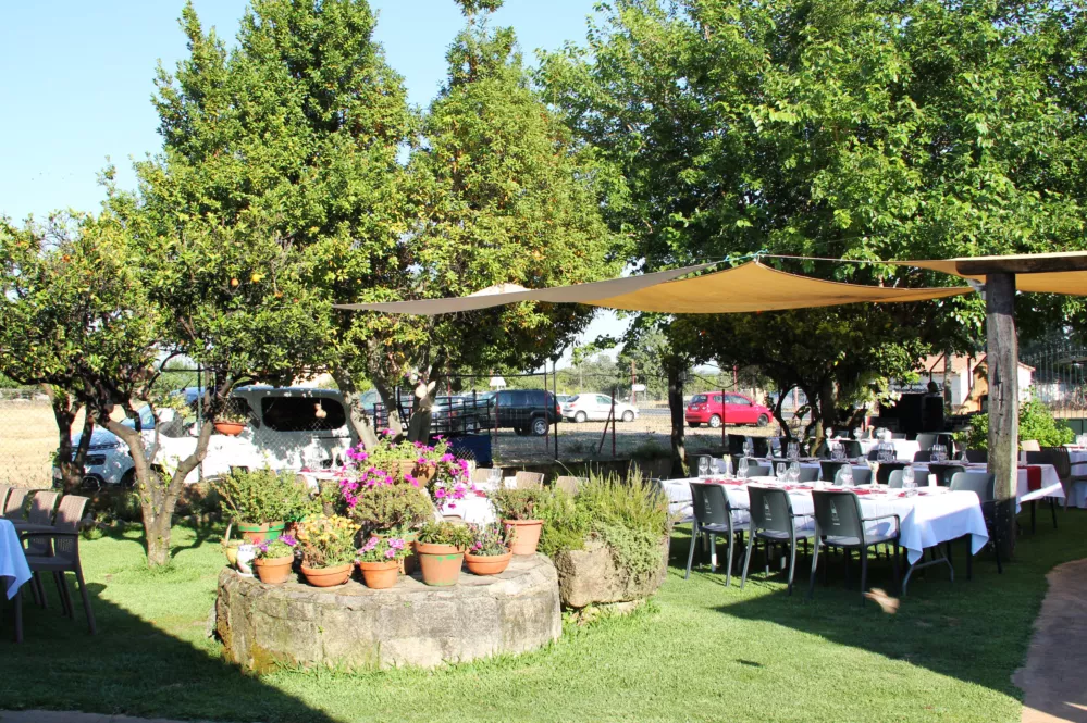 Restaurante Los Carretero, terraza, zona ajardinada y parque infantil en Candeleda Gredos